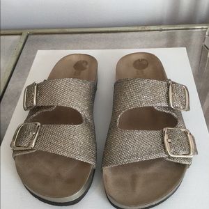 Light gold slides